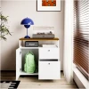 Whisp Mobile Storage Unit - Image 4